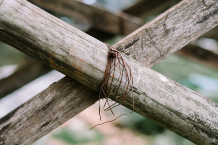 wood secured with wire bindings for added strength and stability, demonstrating practical construction techniques for durability.の写真素材