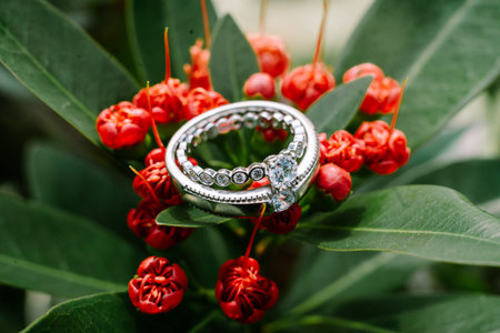 A wedding ring delicately placed atop vibrant red blooms, nestled amidst lush green foliage,...