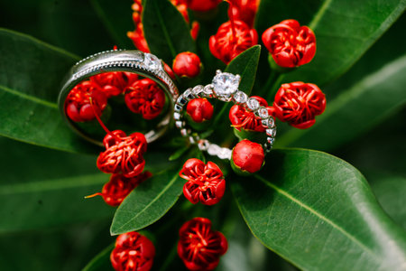 Amongst the vibrant red blossoms, the wedding ring rests, a symbol of enduring passionの写真素材
