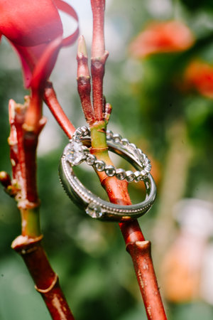 Amongst the vibrant red blossoms, the wedding ring rests, a symbol of enduring passion