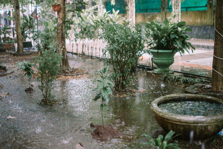 Trees and garden under heavy rain, causing water to overflow and flood the area, creating a wet and...