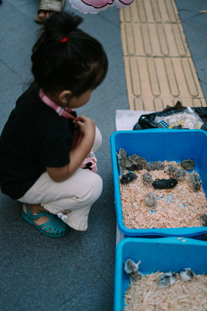 A child gazes at hamsters for sale, captivated by their adorable and playful appearanceのeditorial素材