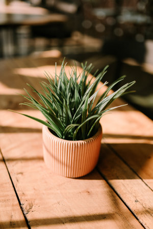 Decorative plants adorning a dining table, adding a touch of nature and elegance, perfect for home decor, interior design, and lifestyle projectsの写真素材