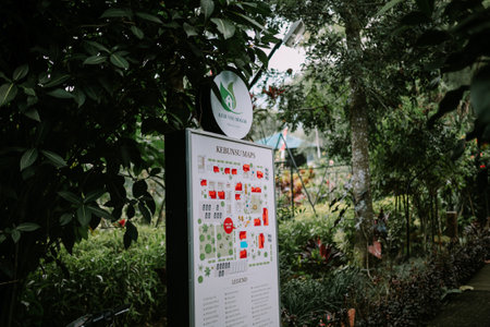A large map showcasing a spacious villa property, detailing its layout and surrounding areas, providing a clear view of the entire location.の写真素材