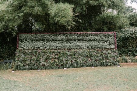 Decorative wall adorned with various plants, creating a fresh and vibrant look, ideal for interior design and nature-inspired decor conceptsの写真素材