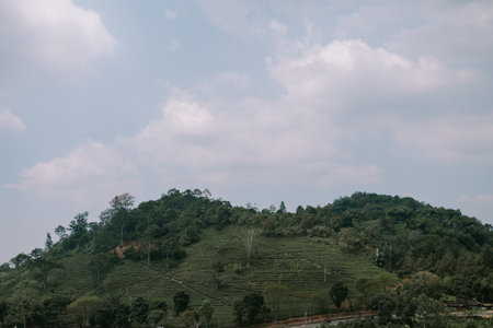 A scenic hill with a bright, clear sky backdrop, showcasing lush greenery under vibrant, sunny cloudsの写真素材
