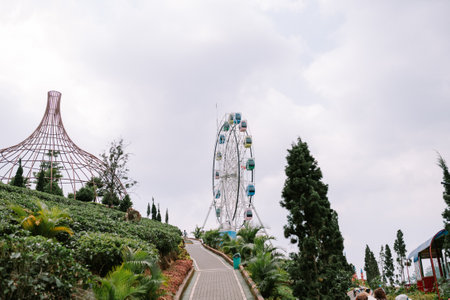 A tree cage and Ferris wheel with a backdrop of slightly cloudy skies, creating a moody and atmospheric sceneの写真素材