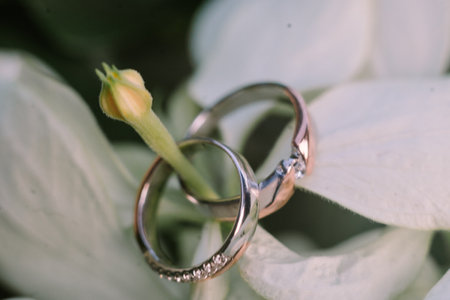 A wedding ring elegantly placed on a green leaf, showcasing its intricate design and symbolizing nature-inspired elegance.の写真素材