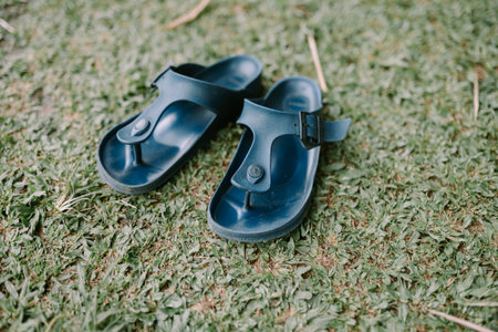 Blue flip-flops resting on a bed of lush green grass, capturing a relaxed, summer vibe. Perfect for themes of leisure, vacation, and outdoor living.の写真素材