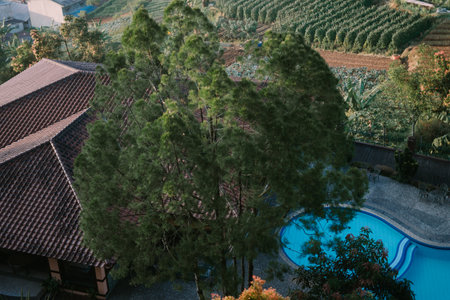 Swimming pool with crystal clear water, surrounded by lounge chairs and a relaxing atmosphere. Perfect for themes of vacation, luxury, and leisureの写真素材