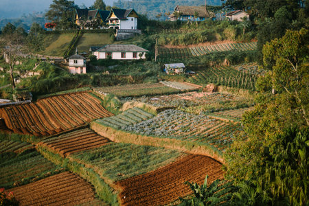 Scenic view of a plantation with neatly arranged square plots of various crops, creating a beautiful...