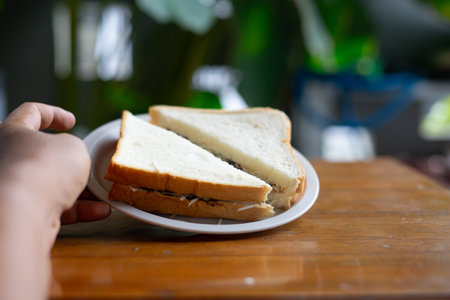 A hand offers a plate with a delicious sandwichの写真素材