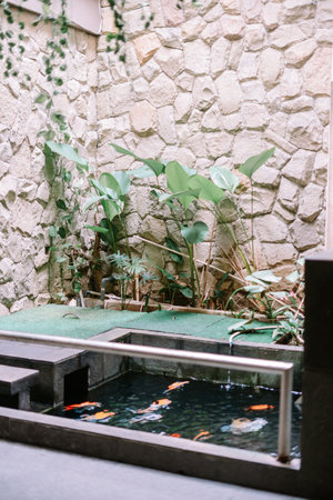 Serene koi pond with lush greenery and stone wall in a peaceful setting.の写真素材