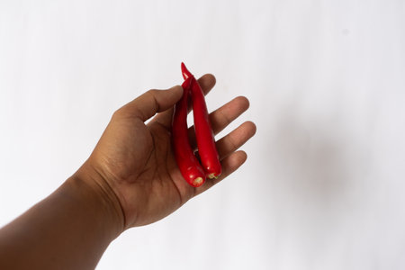 A close-up image of a hand holding two bright red chili peppers against a plain white background. The focus is on the vibrant color and texture of the peppers, highlighting their use as a culinary ingredient.の写真素材