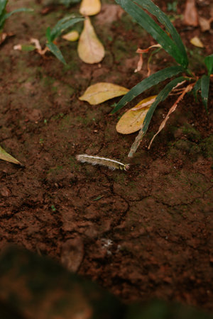 A small caterpillar crawling across dark earth, nestled amongst fallen leaves and vibrant plant life. Detailed close-up shot.の写真素材