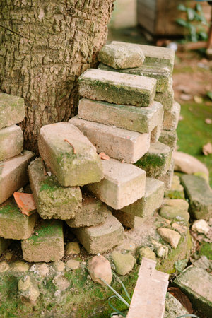 Rustic background of stacked weathered bricks beside a tree. Great for adding a natural, aged touch...