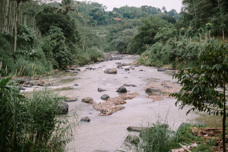 A tranquil river meanders through a verdant forest, creating a serene and peaceful scene.の写真素材