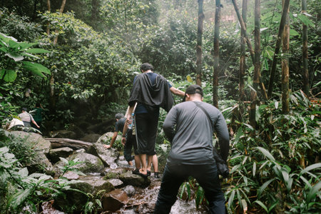 People enjoying a hiking trip crossing a small stream in the heart of a verdant forest. Active lifestyle adventure scene.の写真素材