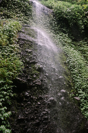 A small waterfall cascades down mossy rocks adorned with lush greenery. Water flowing into a natural...