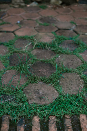 Background of interlocking pavement blocks overgrown with grass. Garden path texture.の写真素材