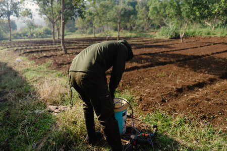 A farmer walking into the field carrying a sprayer, ready to irrigate or water the crops manually. Agricultural work in progress.の写真素材