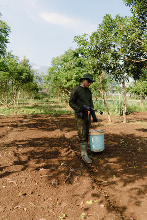 A farmer actively spraying water on plants using a handheld agricultural sprayer to support crop growth and irrigation.の写真素材