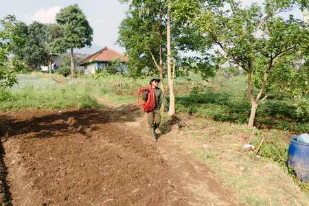 A farmer unrolling and arranging a long hose to irrigate his peanut field. Manual preparation for crop watering in an agricultural settingの写真素材