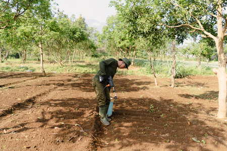 A farmer actively spraying water on plants using a handheld agricultural sprayer to support crop growth and irrigation.の写真素材