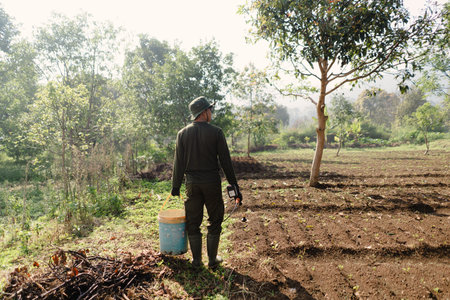 A farmer walking into the field carrying a sprayer, ready to irrigate or water the crops manually. Agricultural work in progress.の写真素材
