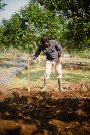 A peanut farmer manually creating holes in the soil using a wooden stick to plant peanut seeds. Traditional farming methodの写真素材