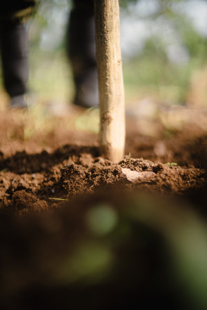 A simple wooden stick pushed into the ground to create planting holes for peanut seeds. Traditional farming tool used in manual crop planting.の写真素材