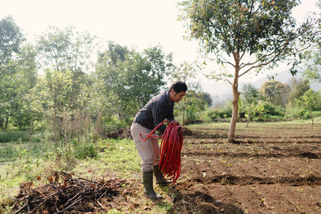 A farmer unrolling and arranging a long hose to irrigate his peanut field. Manual preparation for...