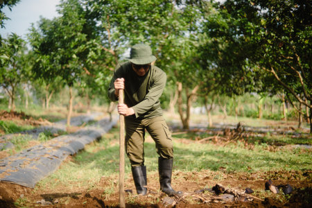 A peanut farmer manually creating holes in the soil using a wooden stick to plant peanut seeds. Traditional farming methodの写真素材