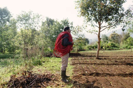 A farmer unrolling and arranging a long hose to irrigate his peanut field. Manual preparation for crop watering in an agricultural settingの写真素材