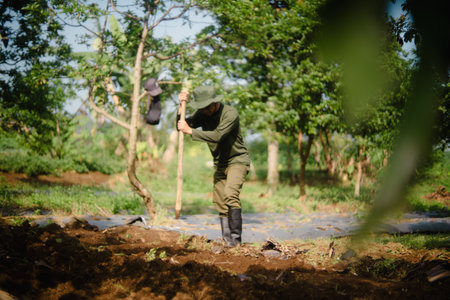 A peanut farmer manually creating holes in the soil using a wooden stick to plant peanut seeds. Traditional farming methodの写真素材