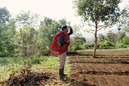 A farmer unrolling and arranging a long hose to irrigate his peanut field. Manual preparation for...