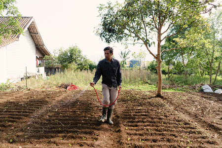 A peanut farmer watering his crops with a red hose in the field. Manual irrigation process to support healthy plant growth in rural agriculture.の写真素材
