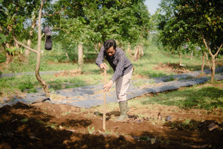 A peanut farmer manually creating holes in the soil using a wooden stick to plant peanut seeds. Traditional farming methodの写真素材