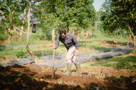 A peanut farmer manually creating holes in the soil using a wooden stick to plant peanut seeds. Traditional farming methodの写真素材