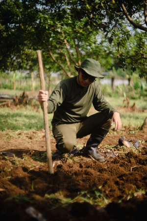 A peanut farmer manually creating holes in the soil using a wooden stick to plant peanut seeds. Traditional farming methodの写真素材