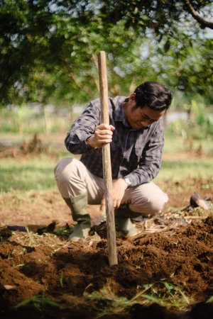 A peanut farmer manually creating holes in the soil using a wooden stick to plant peanut seeds. Traditional farming methodの写真素材