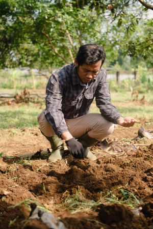 A peanut farmer placing peanut seeds into the soil by hand during the planting process. Traditional...