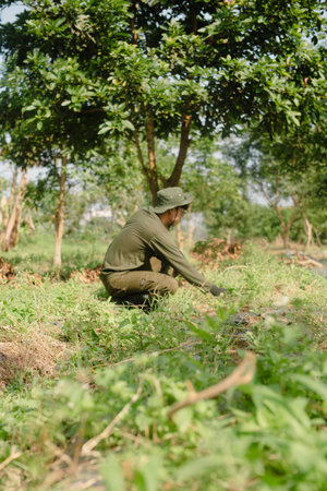 A farmer cleaning out weeds and unwanted plants from a scallion (green onion) garden to ensure healthy crop growth and reduce competition for nutrientsの写真素材