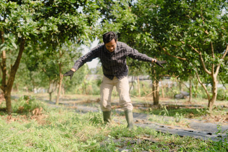 A farmer cleaning out weeds and unwanted plants from a garden to ensure healthy crop growth and reduce competition for nutrientsの写真素材