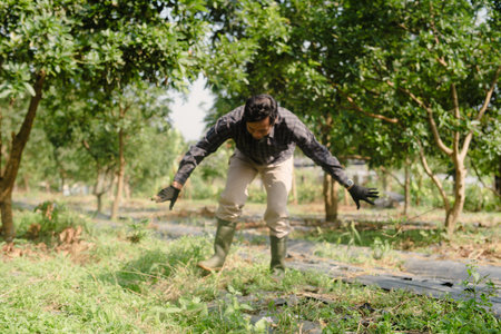 A farmer cleaning out weeds and unwanted plants from a scallion (green onion) garden to ensure healthy crop growth and reduce competition for nutrientsの写真素材