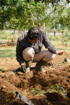A peanut farmer placing peanut seeds into the soil by hand during the planting process. Traditional farming activity in rural agriculture.の写真素材