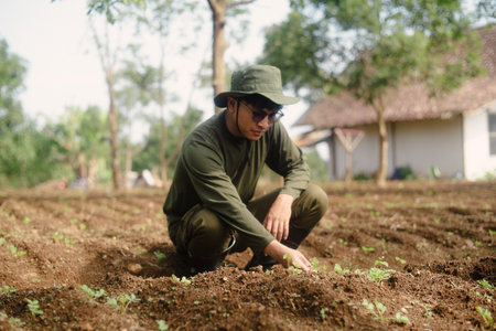 A peanut farmer inspecting the field as young peanut plants begin to sprout gradually from the soil. Early stage of crop growth in traditional farming.の写真素材