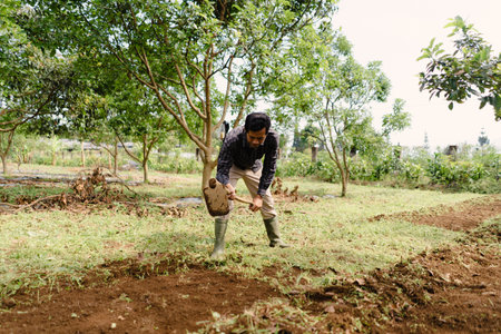 A farmer using a hoe to remove grass and loosen the soil, preparing the land for planting new seeds. Traditional farming method to improve soil readiness.の写真素材