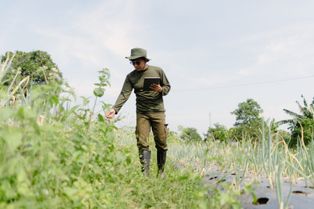 A plant researcher inspecting crop development while holding a tablet, using digital tools to...