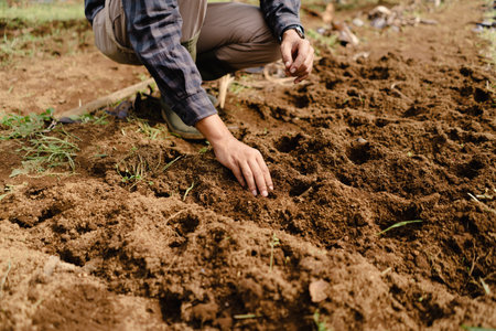 A farmer closely observing soil condition and type to assess whether it is healthy and ready for planting desired crops or treesの写真素材